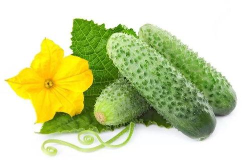 吃瓜系统陆迟,揭秘吃瓜系统背后的故事与影响